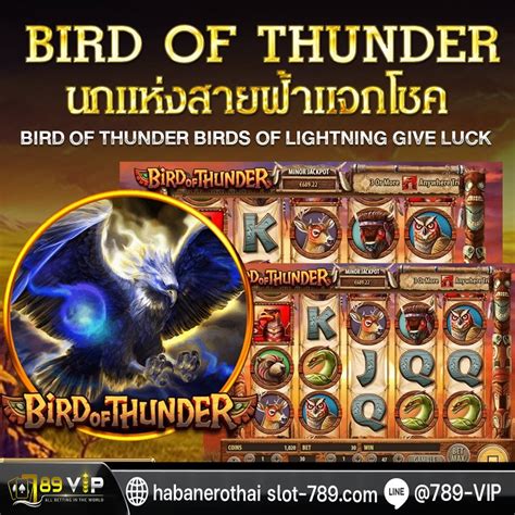 bird of thunder echtgeld|Bird Of Thunder Slot Machine 2024 .